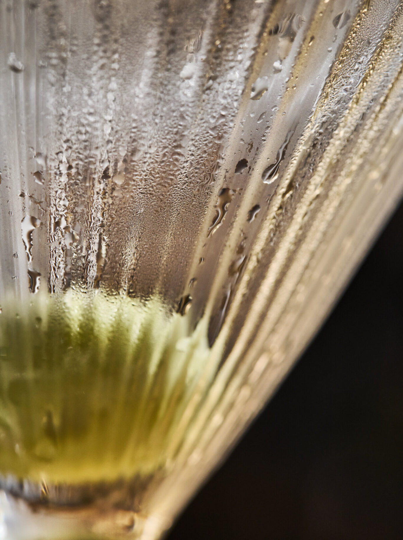 Close up martini